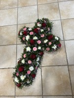 IMG_9513.JPEG