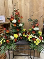 IMG_5608.JPEG