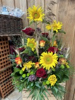 IMG_7995.JPEG