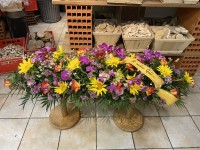 IMG_4734.JPEG