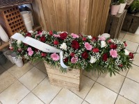 IMG_6816.JPEG