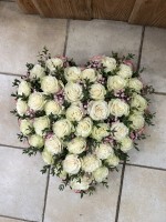 IMG_0408.JPEG