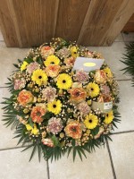 IMG_0133.JPEG